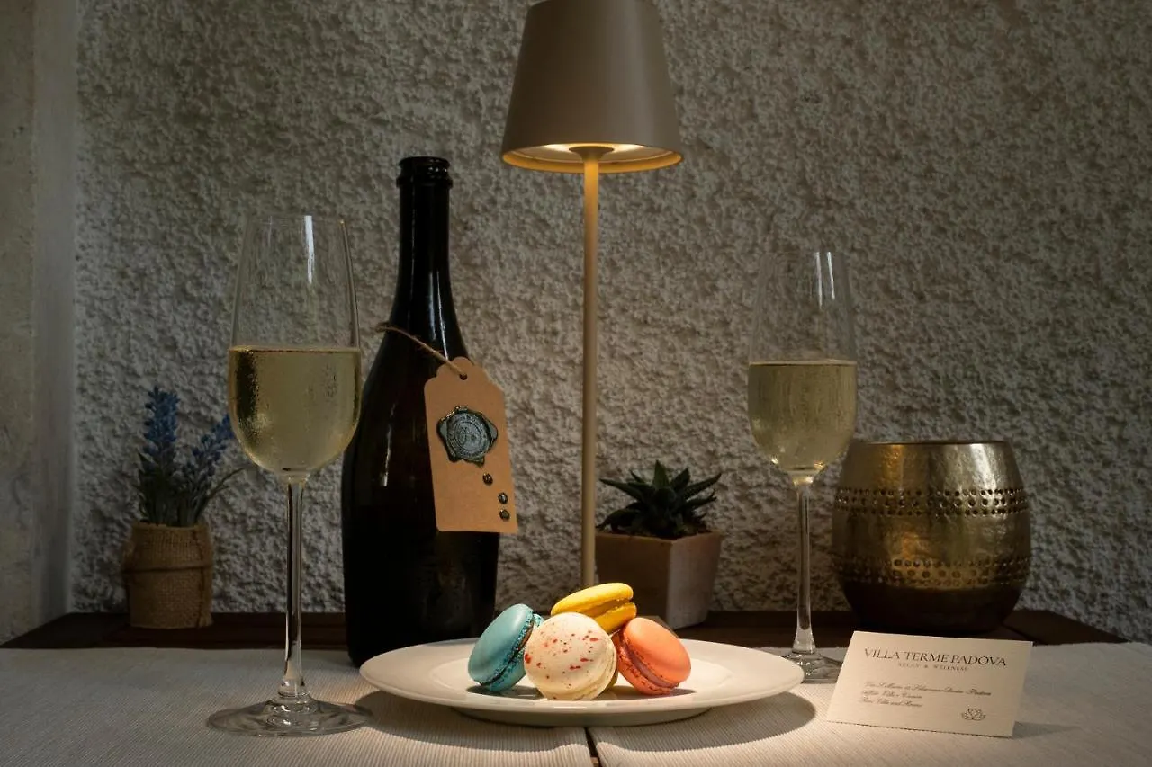 Villa Terme Padova-Relax & Wellness Selvazzano Dentro Italië